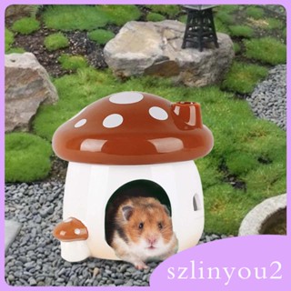 [szlinyou2] บ้านเซรามิค ขนาดเล็ก สําหรับสัตว์เลี้ยง หนูแฮมสเตอร์