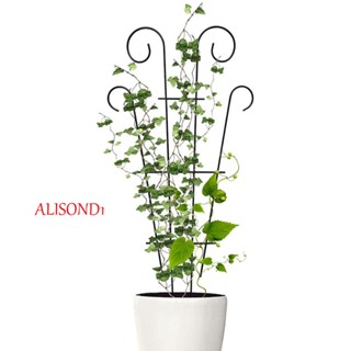 Alisond1 กรอบไม้เลื้อย มั่นคง อุปกรณ์เสริม สําหรับกระถางต้นไม้ ในร่ม สวน