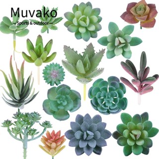 Muvako พืชอวบน้ําปลอม DIY สําหรับตกแต่งบ้าน สวน ห้องนั่งเล่น