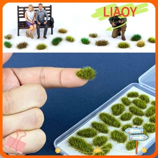 Liaoy โมเดลทัศนียภาพหญ้าจําลอง ทรงไม่สมมาตร DIY อุปกรณ์เสริม สําหรับตกแต่ง