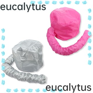 Eucalytus1 หมวกอบแห้ง ปรับความร้อนได้ สําหรับทําสปาผม