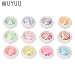 Wuyuu Nail Glitter Sequins  Cosmetic Art Flakes 12 Boxes Holographic Accessories for Home Use Women Salon