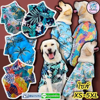 🇹🇭พร้อมส่ง🇹🇭🐶🐱🏖🏝🌞เสื้อฮาวาย ไซส์ XS-5XL เสื้อสุนัข ชุดแมว สุนัขพันธุ์ใหญ่ หมาพันธุ์กลาง หมาเล็ก