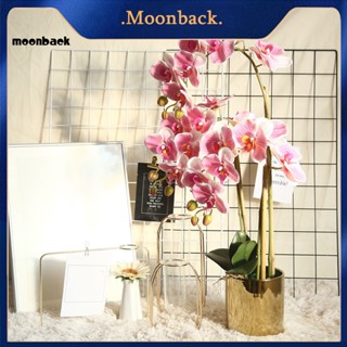 &lt;moonback&gt; กล้วยไม้ผ้าไหมเทียม รูปผีเสื้อ สําหรับตกแต่งห้องนั่งเล่น ออฟฟิศ 1 ชิ้น