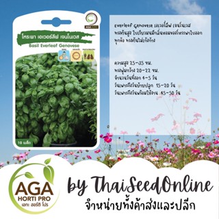 AGAPREMIUM โหระพา เบซิล เอเวอร์ลีฟ เจนโนเวส 10เมล็ด ตราเอกะอะโกร Basil