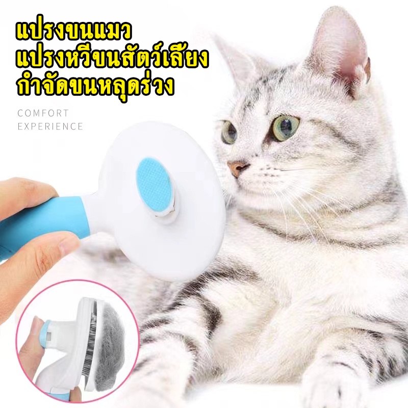 ✨COD ที่หวีขนแมว ที่แปรงขนแมว แปรงขนแมว