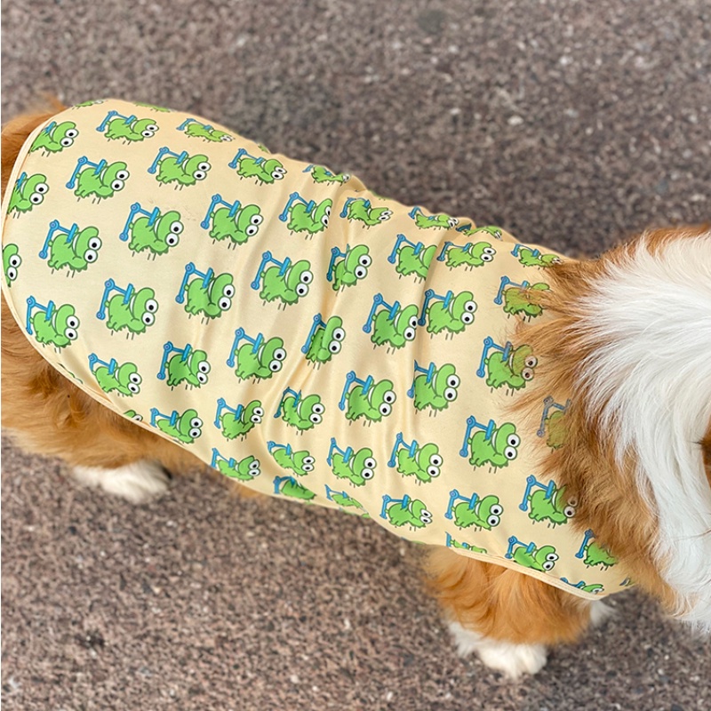 รูปภาพ 7