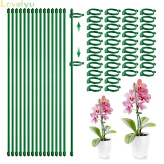 ⭐2023 ⭐Plants Fixed Anti-lodging Flowers Stand Support Single Pole Orchid Support Pole