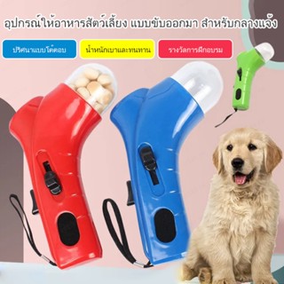 ของเล่นฝึกสมอง สําหรับสัตว์เลี้ยง