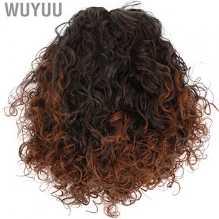 Wuyuu Fake Hair Wig  Fluffy Lace Front Natural Look Super Soft for Role-playing