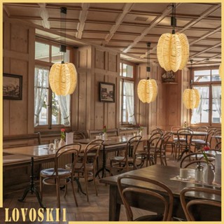 [Lovoski1] ฝาครอบโคมไฟเพดาน แบบแขวน