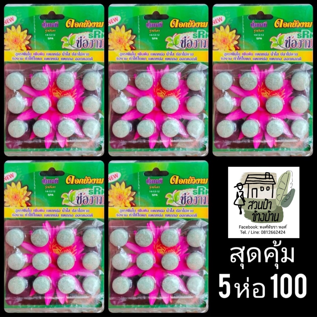 (พร้อมส่งจากไทย) สีเขียว 1 แผง 12 เม็ด สูตร 14-12-12 ปุ๋ยบัวงาม ปุ๋ยเม็ด ปุ๋ยเคมี น้ำใส บัว บอน อโลค