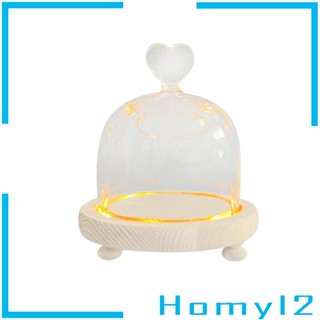 [HOMYL2] โดมแก้ว ทรงโดม สไตล์นอร์ดิก สีโปร่งใส สําหรับโชว์ดอกไม้ วันวาเลนไทน์ DIY