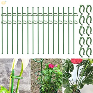 【VARSTR】High Quality Plant Stake Kit 15 Stakes 40 Clips Create an Organized Garden Space