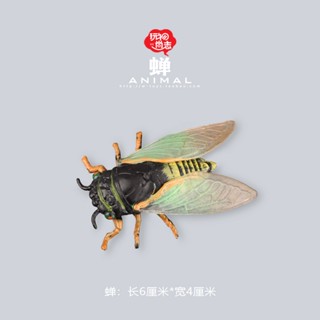 [ลดราคา] โมเดลสัตว์ Cicada