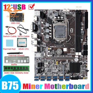 เมนบอร์ดขุดเหมือง B75 12GPU BTC และสายเคเบิล CPU G540 และจาระบีความร้อน รองรับ 2XDDR3 RAM B75 12USB