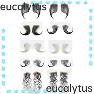 Eucalytus1 สติกเกอร์ติดขอบผม วิกผมหน้าม้าปลอม แบบมองไม่เห็น ขอบปลอม ลูกไม้ แถบผม