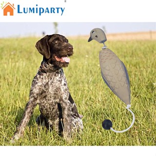 Lumiparty ของเล่นนกประดิษฐ์ สําหรับฝึกสุนัขในร่ม กลางแจ้ง