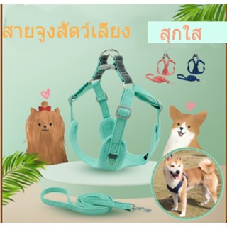 เสื้อรัดอก พร้อมสายจูง สายจูง สายจูงสัตว์เลี้ยง เสื้อหมา สายจูงเสื้อ สายจูงสุนัข เสื้อพร้อมสายจูง สายจูงหมา