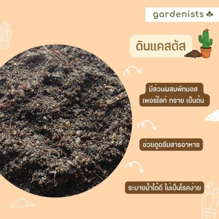 ดินแคสตัส ขนาด 1 กิโลกรัม