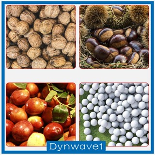 [Dynwave1] อุปกรณ์เก็บถั่ว วอลนัท ผลไม้ แบบพกพา สําหรับสวนกลางแจ้ง