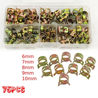 ⚡READYSTOCK⚡Hose clamp 75pcs 6-10mm Spring Water CPU Fuel Fastener With Storage Box