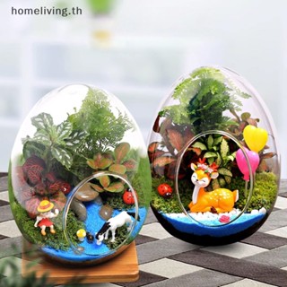 Home แจกันแก้ว รูปไข่ สร้างสรรค์ สําหรับตกแต่งบ้าน สวนขวด