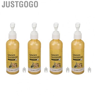 Justgogo Hair     Nourishing Dandruff  Itching Relief 100ml Improve Loss Ginger  for Home