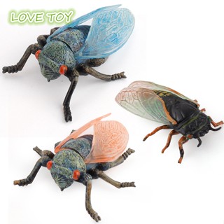 ฟิกเกอร์แมลงจําลอง Nkodok Cicada ของเล่นเสริมการศึกษา สําหรับเด็ก