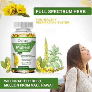 Natural Mullein Leaf Capsules Supplement- สำหรับทำความสะอาดปอด - รองรับการทำงานของระบบทางเดินหายใจ, ล้างความร้อนและล้างสารพิษ, รองรับระบบภูมิคุ้มกัน