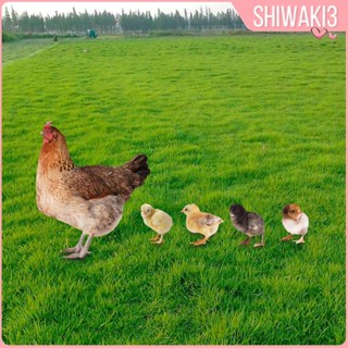 [Shiwaki3] รูปปั้นไก่อีสเตอร์ สําหรับตกแต่งสวนหลังบ้าน