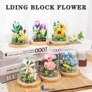 Wise Hawk Block ดอกไม้นิรันดร์ช่อดอกไม้พร้อมฝาครอบโปร่งใสตกแต่งอาคารอิฐบล็อกของเล่น MOLISA MOLISA