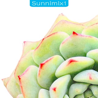 [Sunnimix1] หมอนโซฟาจําลอง 20 นิ้ว สําหรับตกแต่งห้องนอน ห้องนั่งเล่น สํานักงาน