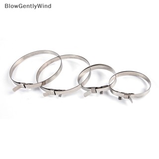 Blowgentlywind คลิปสเตนเลส สําหรับผูกสายเคเบิล 4 ชิ้น BGW