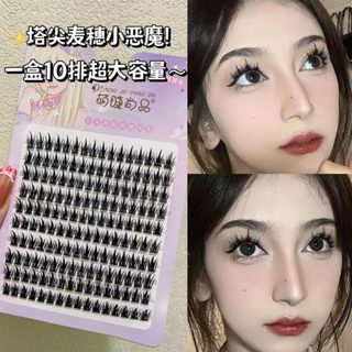 Wheat ear little demon eyelash book ~ cute eyelash products super-large capacity 10 rows of spire false eyelash tip tail fairy