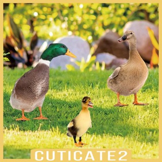 [Cuticate2] ป้ายรูปปั้นเป็ด 3 ชิ้น สําหรับตกแต่งสวนหลังบ้าน