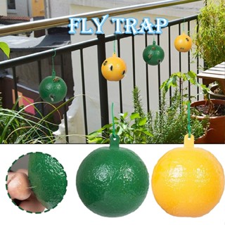 Sticky Fly Traps Outdoor Hanging Insect Catcher Fruit Fly Trap Gnat Trap Ball