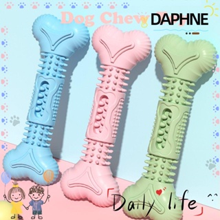 Daphne ของเล่นเคี้ยว รูปกระดูก สําหรับสัตว์เลี้ยง สุนัข