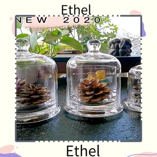 Ethel1 โหลแก้วใส่เทียน รูปดอกไม้ 8 สี DIY สําหรับตกแต่งห้องนอน