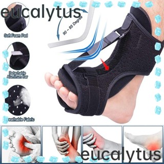 Eucalytus1 ลูกบอลนวดบรรเทาอาการปวดเท้า บรรเทาความเครียด