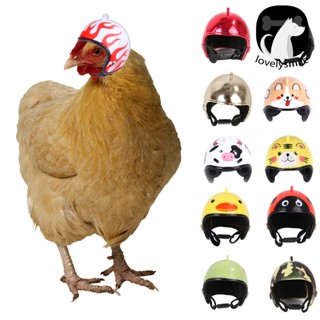 [COD]♞หมวกกันน็อคนิรภัย ลายการ์ตูนไก่ สําหรับสัตว์เลี้ยง