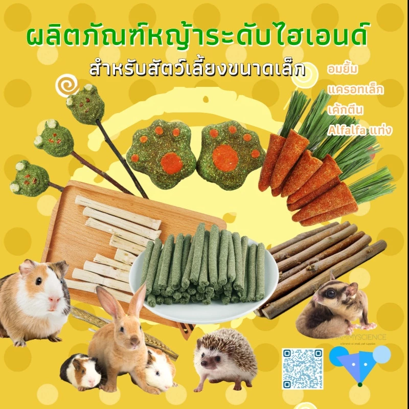 [hamster travel]ขนมขบเคี้ยวสำหรับแฮมสเตอร์: กิ่งแอปเปิ้ลแห้งและก้านไผ่หวาน เหมาะสำหรับหนูตะเภา กระรอก และกระต่ายด้วย