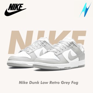 Nike Dunk Low Retro Grey Fog