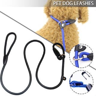 New Strong Nylon Slip On Rope Dog Puppy Pet Lead Leash No Collar Needed 3 Sizes