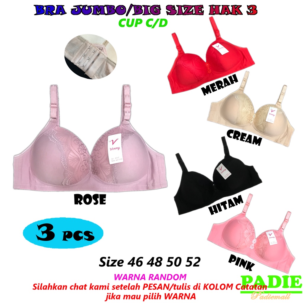 PADIe - 3 ชิ้น Womens Bra / Bra JUMBO/BIG SIZE VENNY DD8117 Cup C/D และ Medium Foam ไม่มีลวด 3 ตะขอข