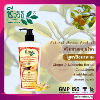 ชีววิถี ครีมนวด/แชมพู สมุนไพรสูตรขิงมะหาด 300มล.ช่วยทำให้ผมนุ่มลื่น เงางามมีน้ำหนัก เพิ่มความชุ่มชื่น