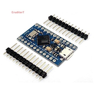 [EruditerT] Pro Micro ATmega32U4 5V 16MHz ทดแทน ATmega328 Arduino Pro Mini [ใหม่]