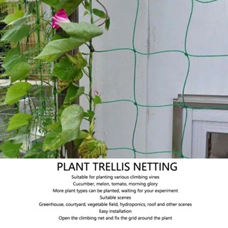 Garding พืชสวน Trellis Netting Green Polypropylene Plant Support Net สำหรับปีนเขาผักผลไม้