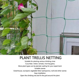 My Green Garden พืชสวน Trellis Netting Polypropylene Plant Support Net สำหรับปีนเขาผักผลไม้