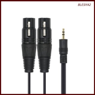 [Blesiya2] สายเคเบิลแยกหูฟัง TRS ตัวผู้ เป็น XLR ตัวผู้คู่ 1/8 นิ้ว